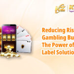 DW Article 13 Reducing Risk in Gambling Business_en_400x250